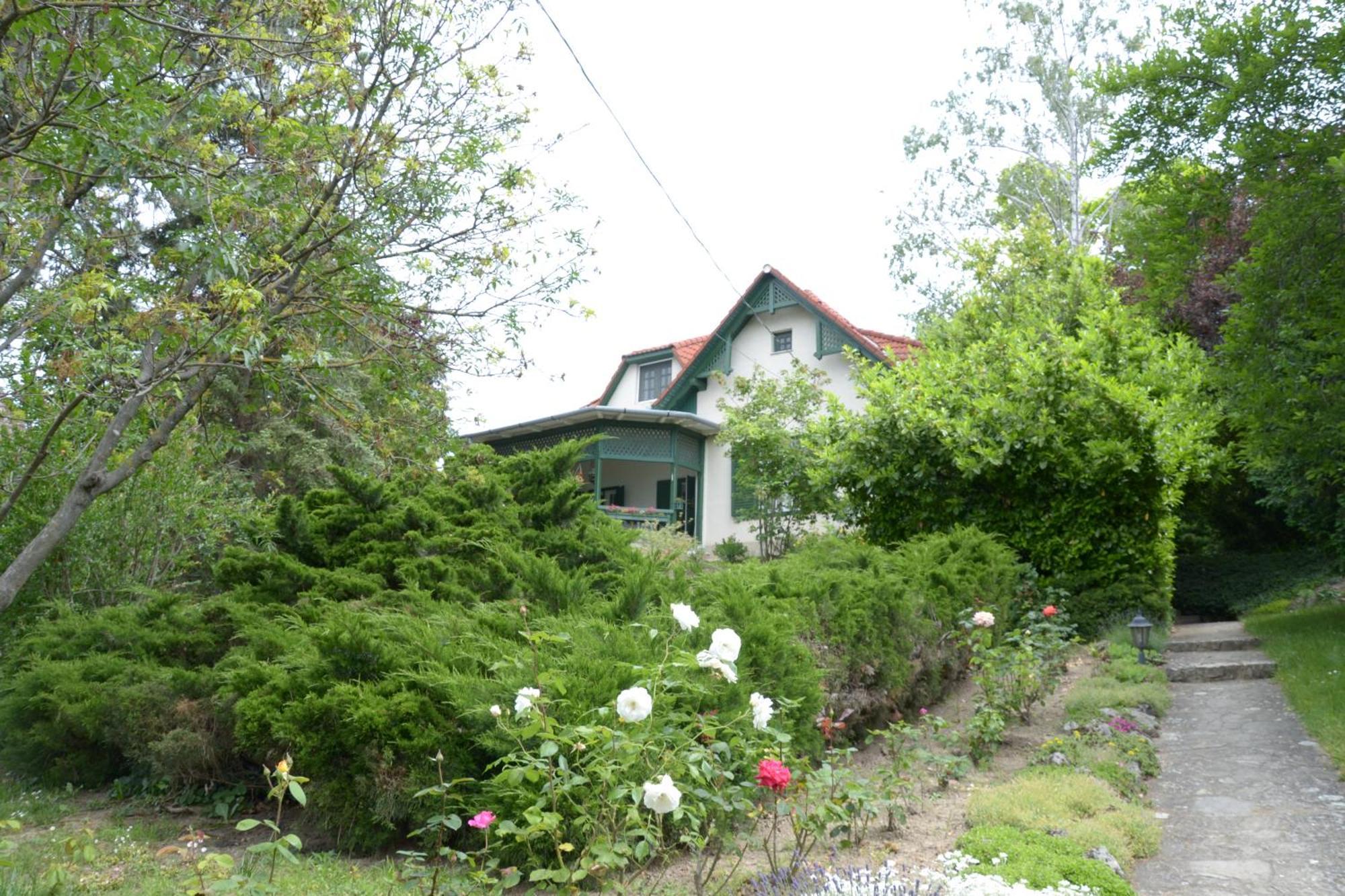 Gyoengy Villa Фоньод Экстерьер фото